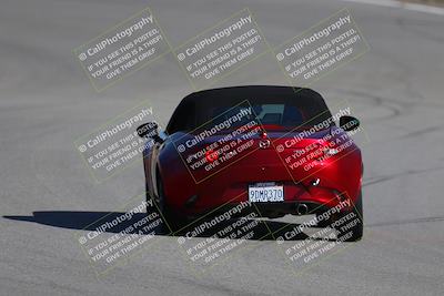 media/Nov-19-2023-Extreme Speed (Sun) [[bd0eec5490]]/Purple/Back Shots/